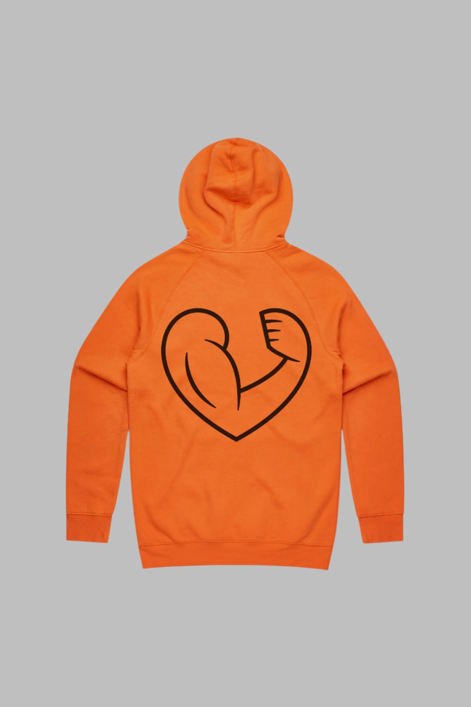 WTH Team Raglan Pullover Hoodie - Orange